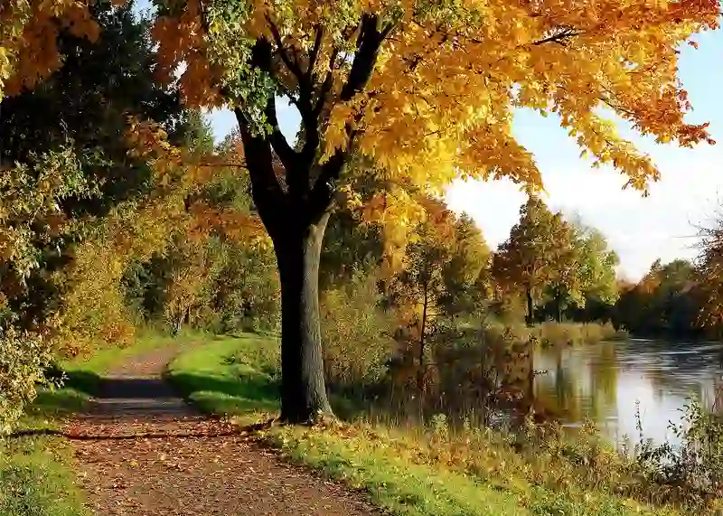 تابلوفرش چاپی طرح منظره کد 4033